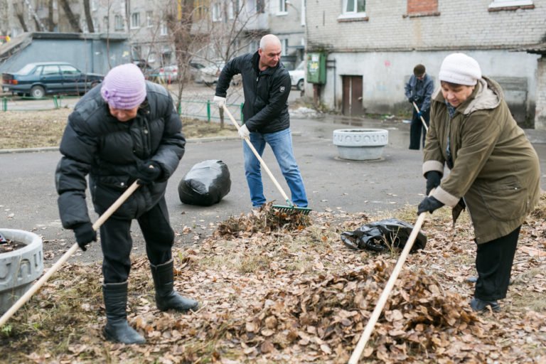 Чистый двор картинки